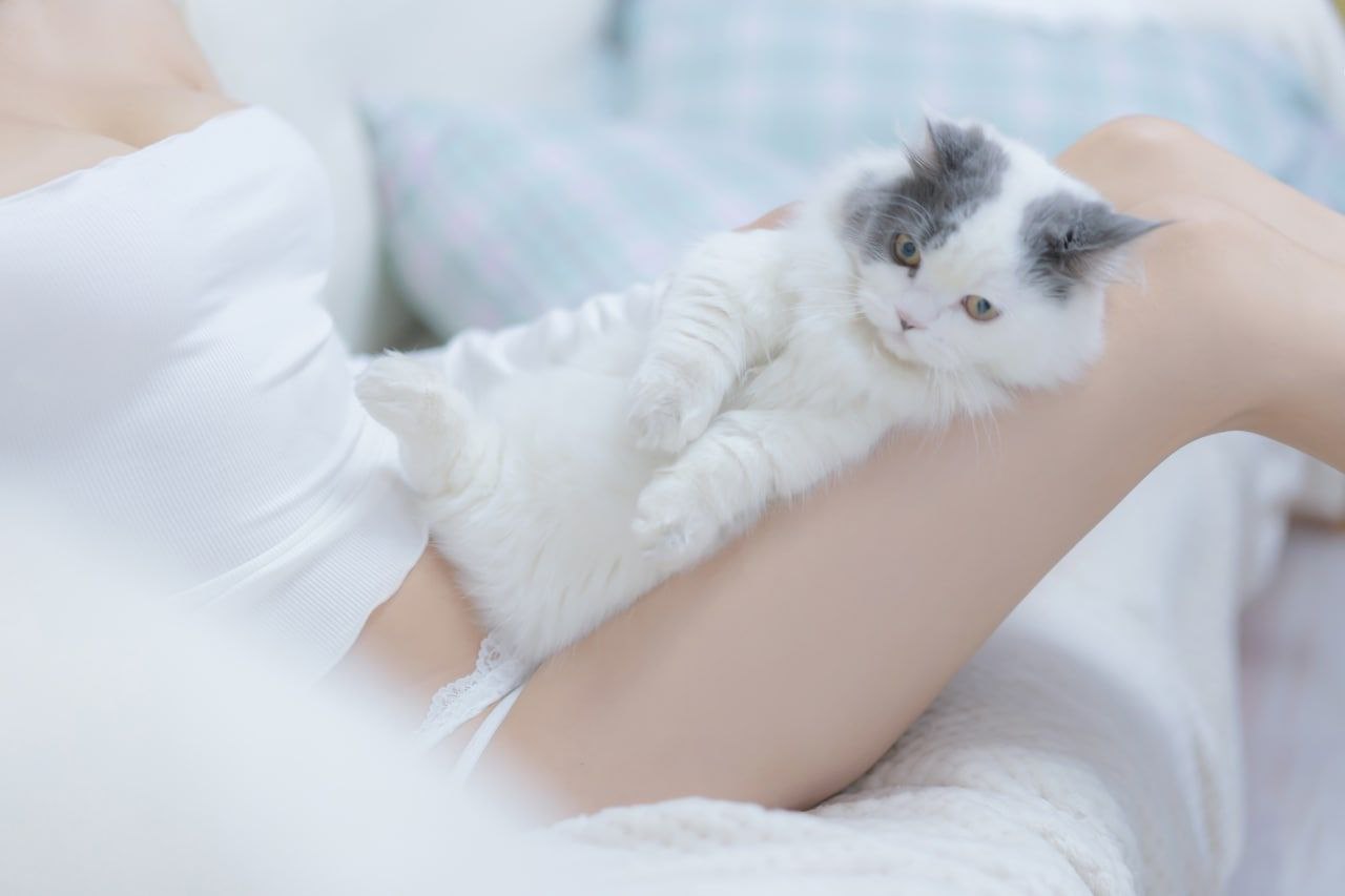 嫩草歐美曰韓國產(chǎn)大片