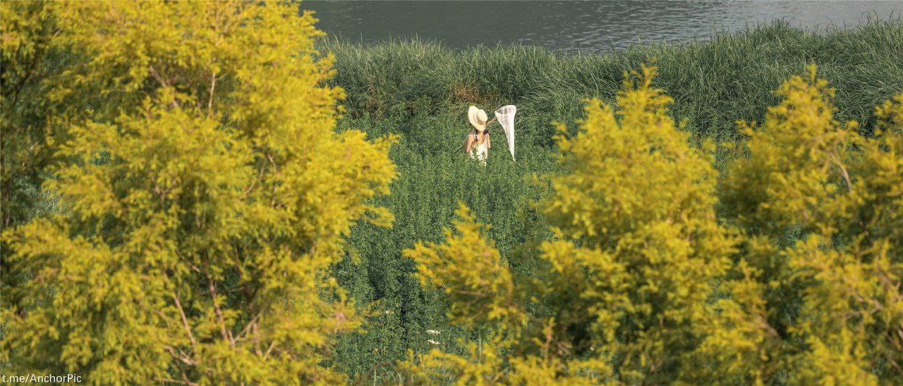 中文字幕熟女人妻佐佐木